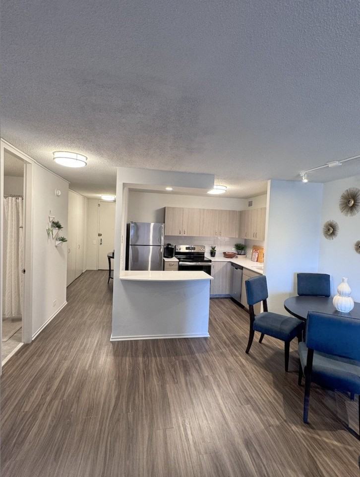 1130 N Dearborn St Apt 2410 #2410 - Photo 6 of 17