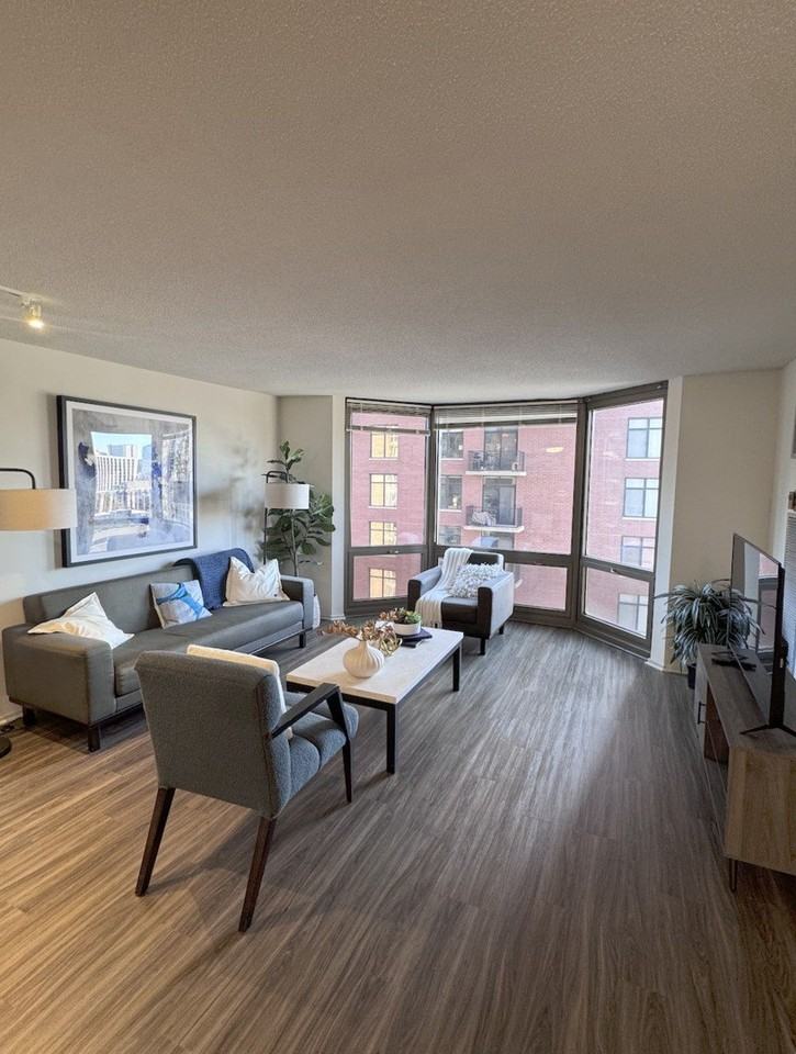 1130 N Dearborn St Apt 2410 #2410 - Photo 7 of 17