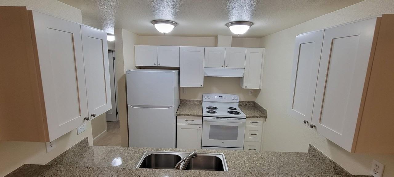 Juanita Brook - Photo 3 of 7