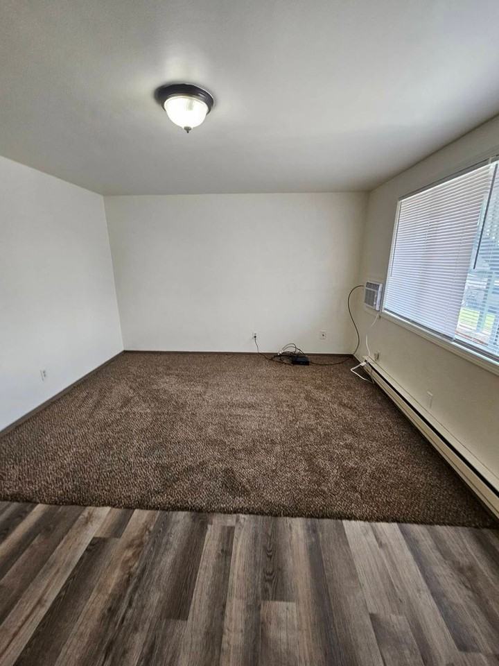 601 S. Division St. - Photo 4 of 14