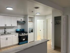 ONE11 COLLECTION - HAMTRAMCK - Photo 1 of 1