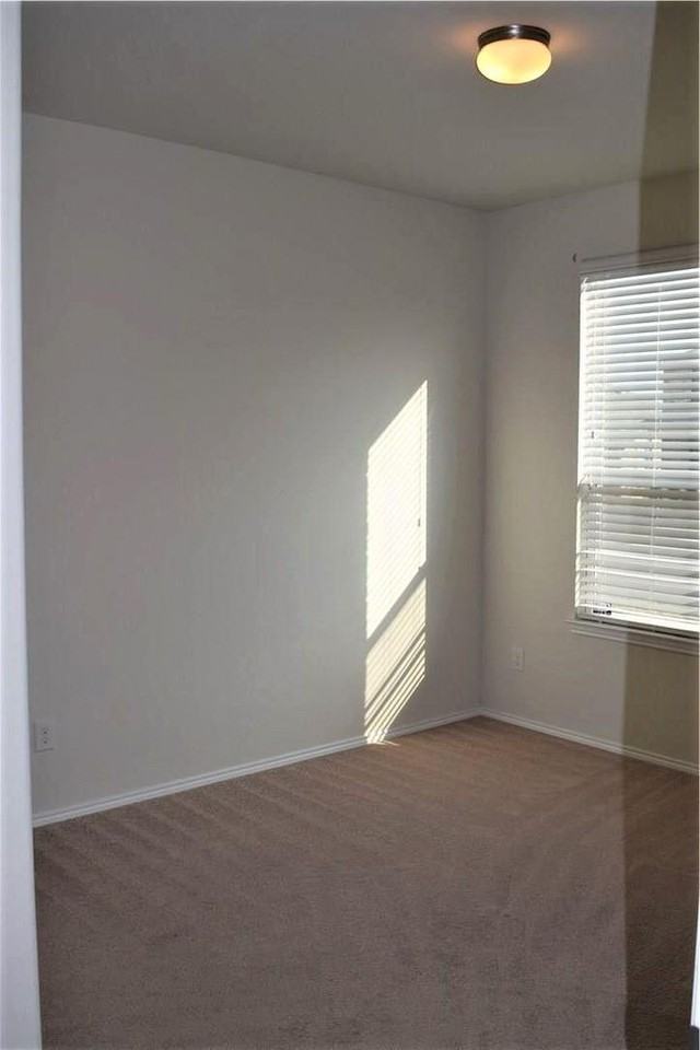 10220 Pyrite Dr - Photo 3 of 16