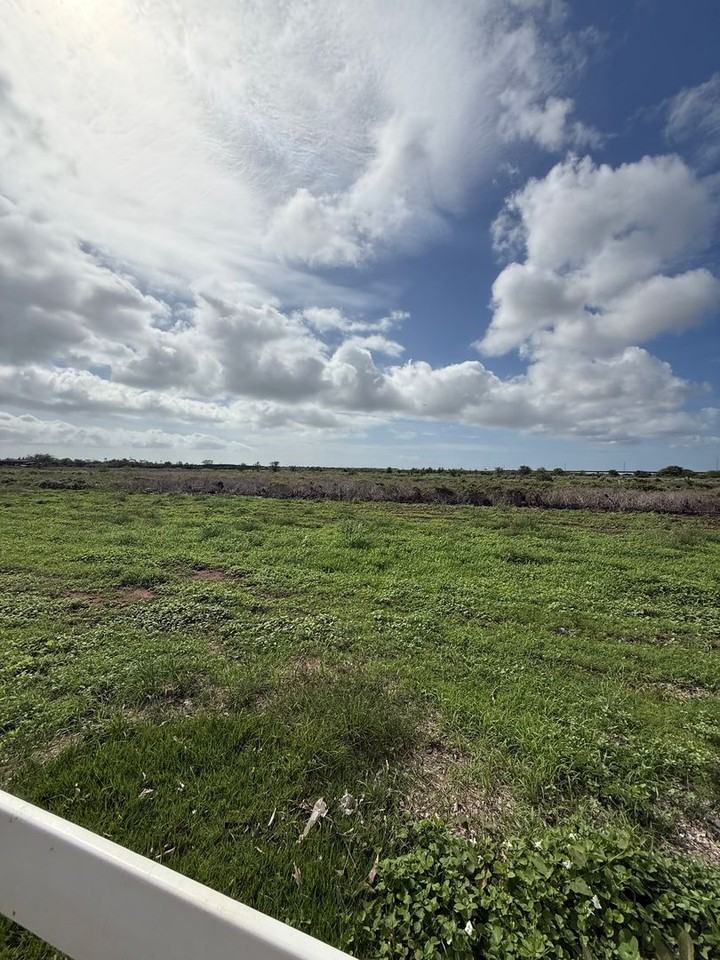 91-1099 Iliahialoe Loop - Photo 7 of 16