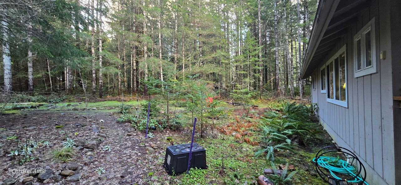 33 N Dow Mountain Pl - Photo 5 of 21