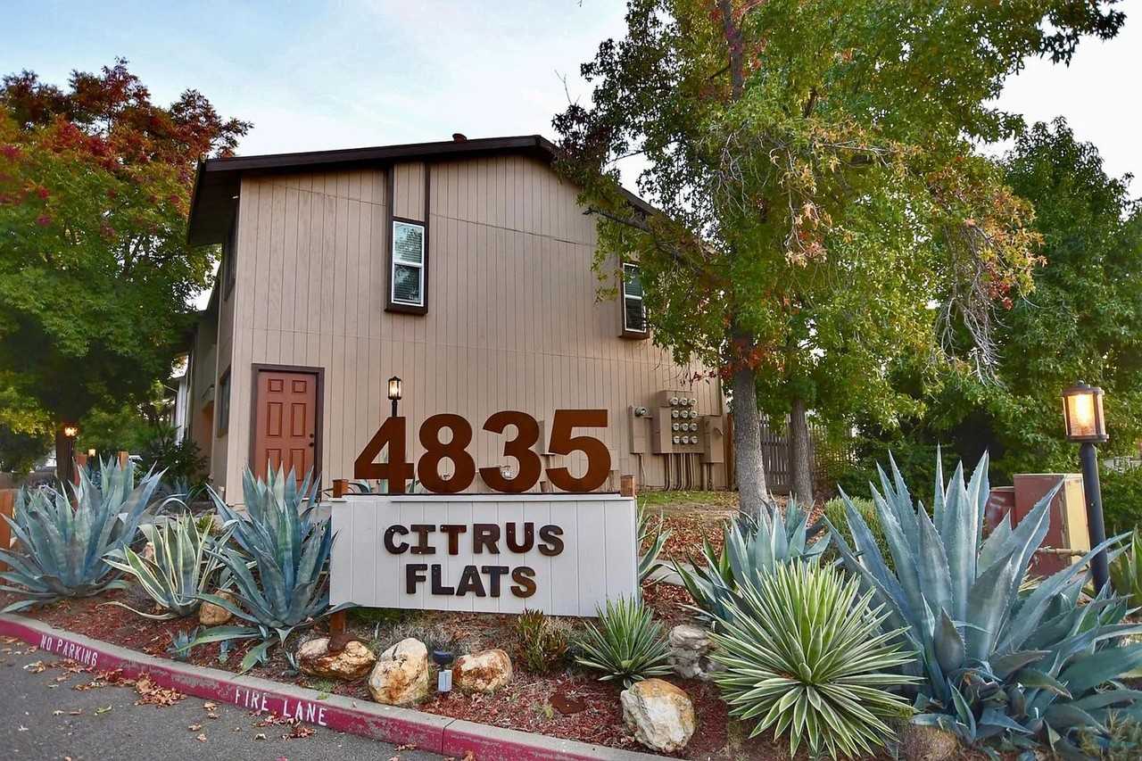 CITRUS_FLATS - Photo 3 of 50