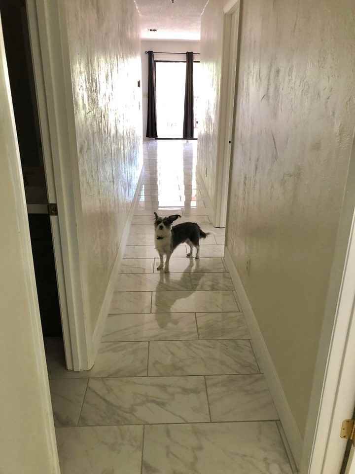 290 S Old Kings Rd - Photo 7 of 17