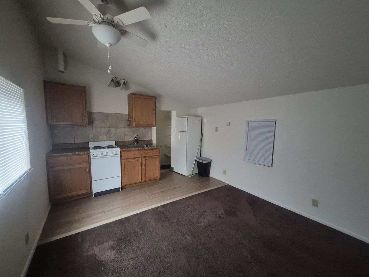 828 1/2 E Cache La Poudre St #1 - Photo 2 of 8