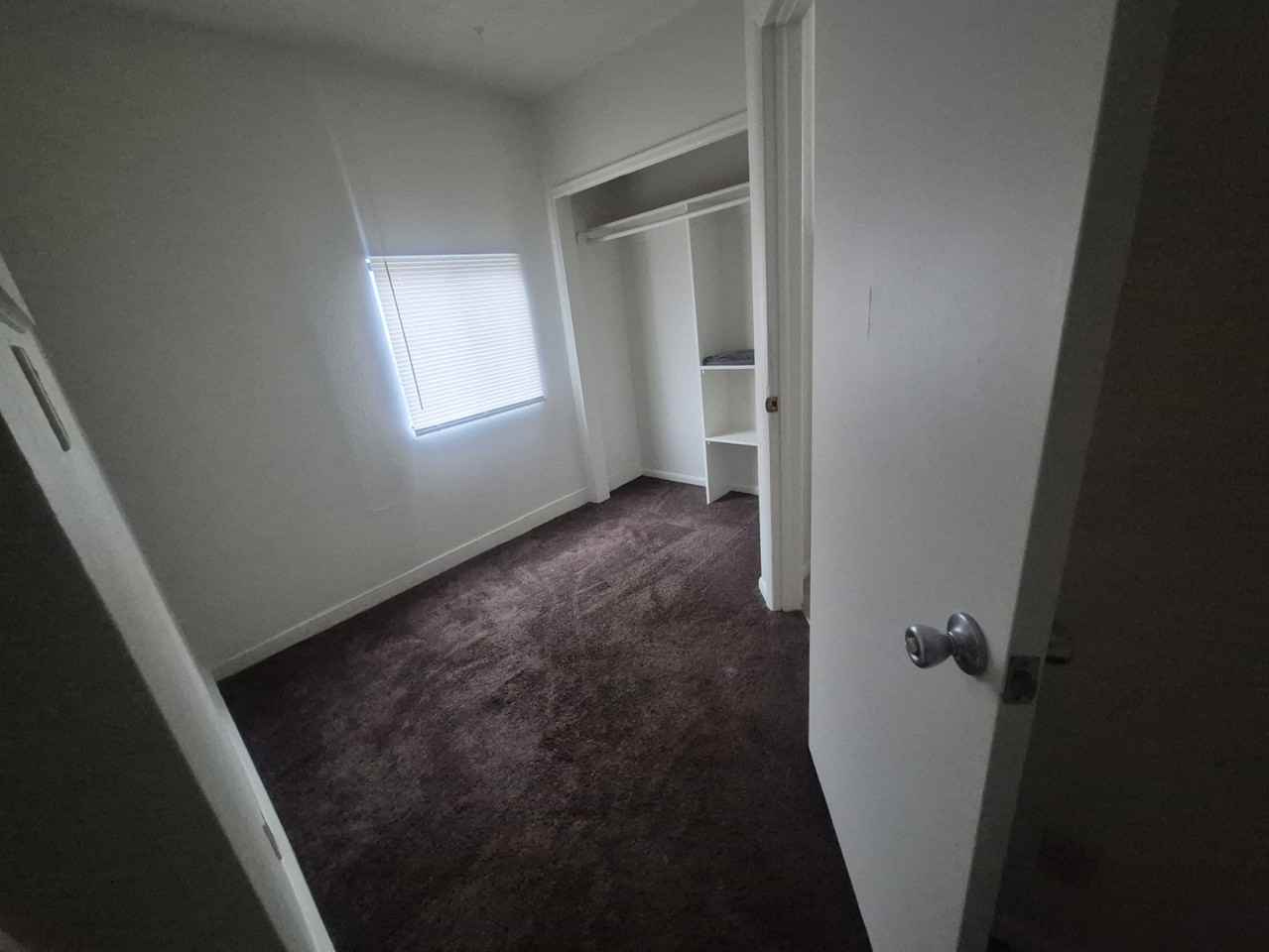 828 1/2 E Cache La Poudre St #1 - Photo 4 of 8