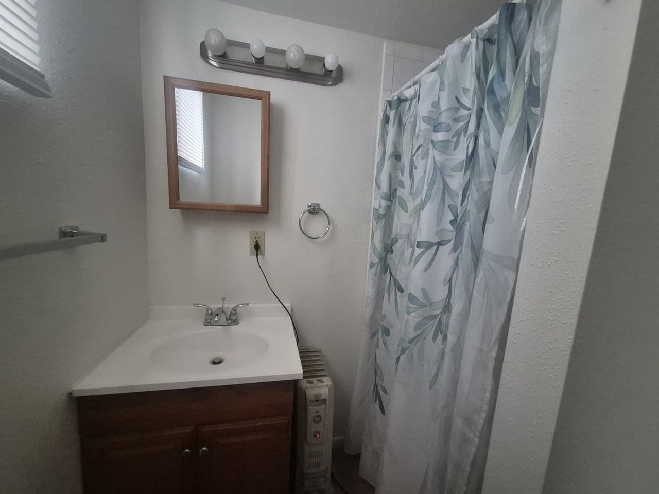 828 1/2 E Cache La Poudre St #1 - Photo 7 of 8