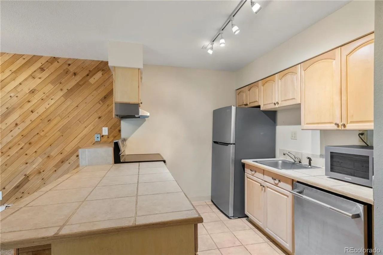 2402 Ryan Gulch Ct - Photo 4 of 11