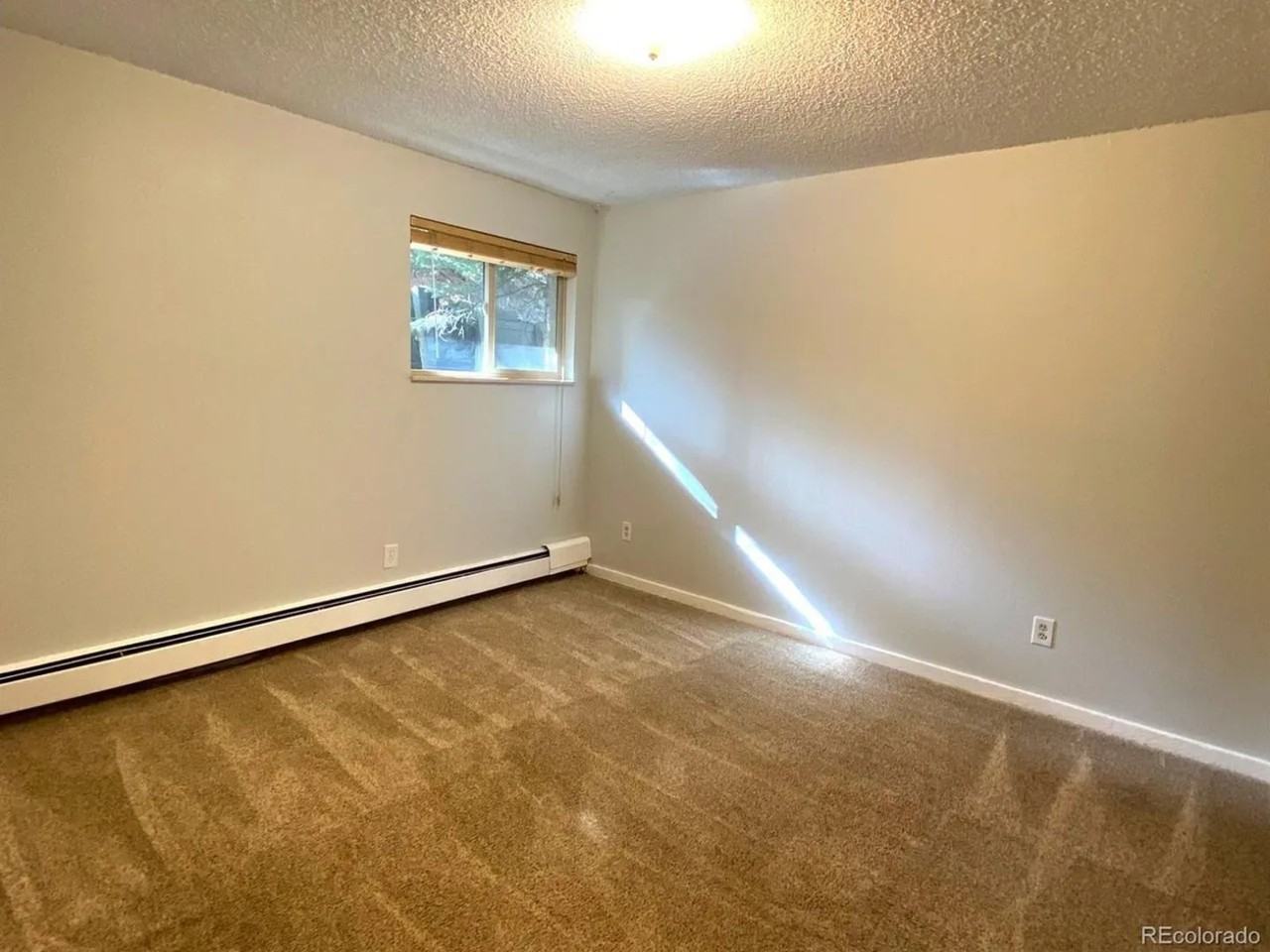 2402 Ryan Gulch Ct - Photo 7 of 11