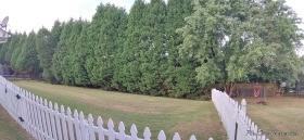 176 Bellingrath Dr - Photo 4 of 12