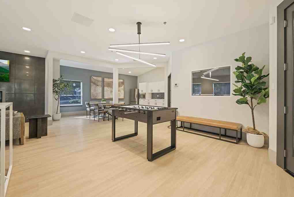 Vesta - Photo 4 of 50