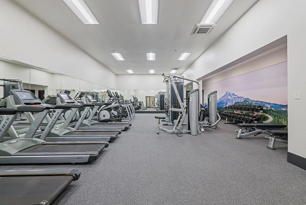 Vesta - Photo 5 of 50