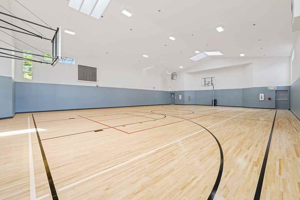 Vesta - Photo 6 of 50