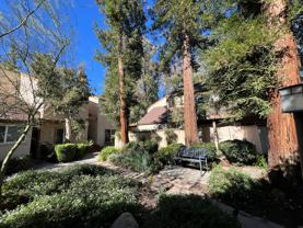 22330 Victory Blvd #205 - Photo 1 of 1