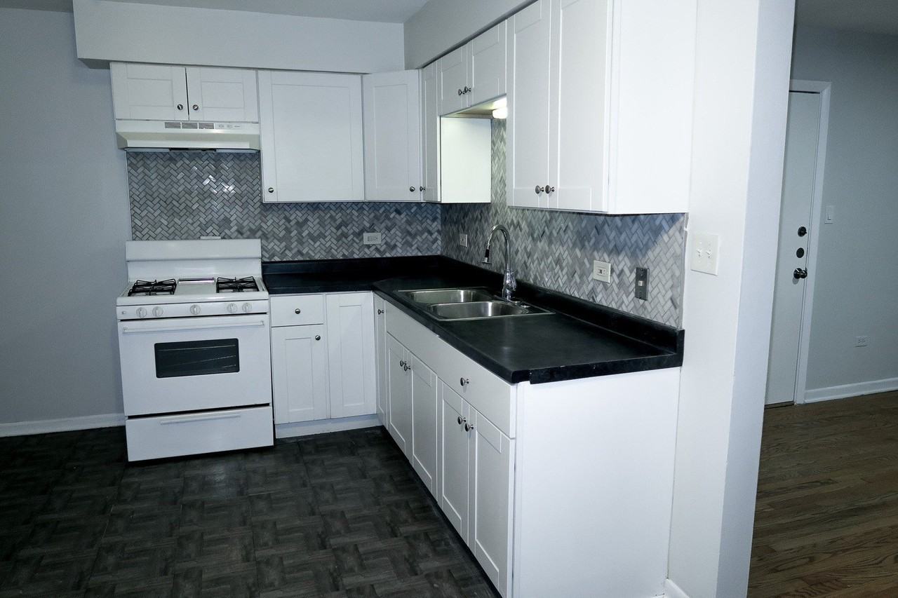 6048 N Elston Ave Apt 2s #2S - Photo 6 of 24