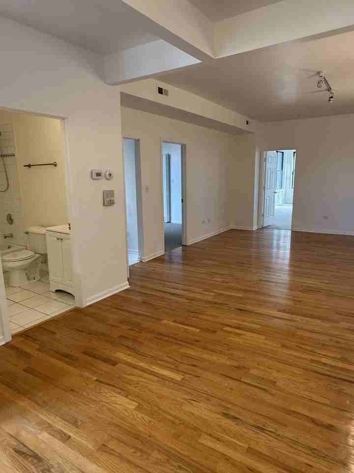 5726 S King Dr Apt 3a #3A - Photo 3 of 14