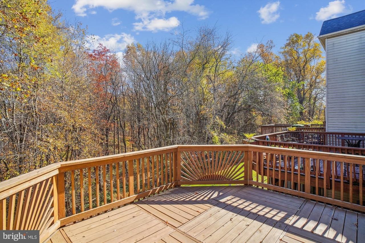 13243 Autumn Mist Cir - Photo 3 of 45