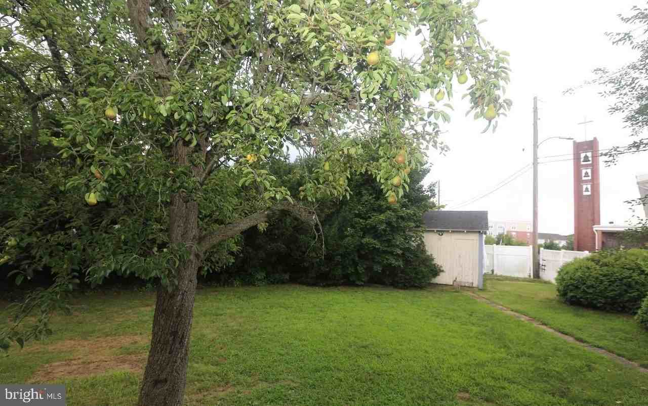 114 Ellis St - Photo 3 of 11