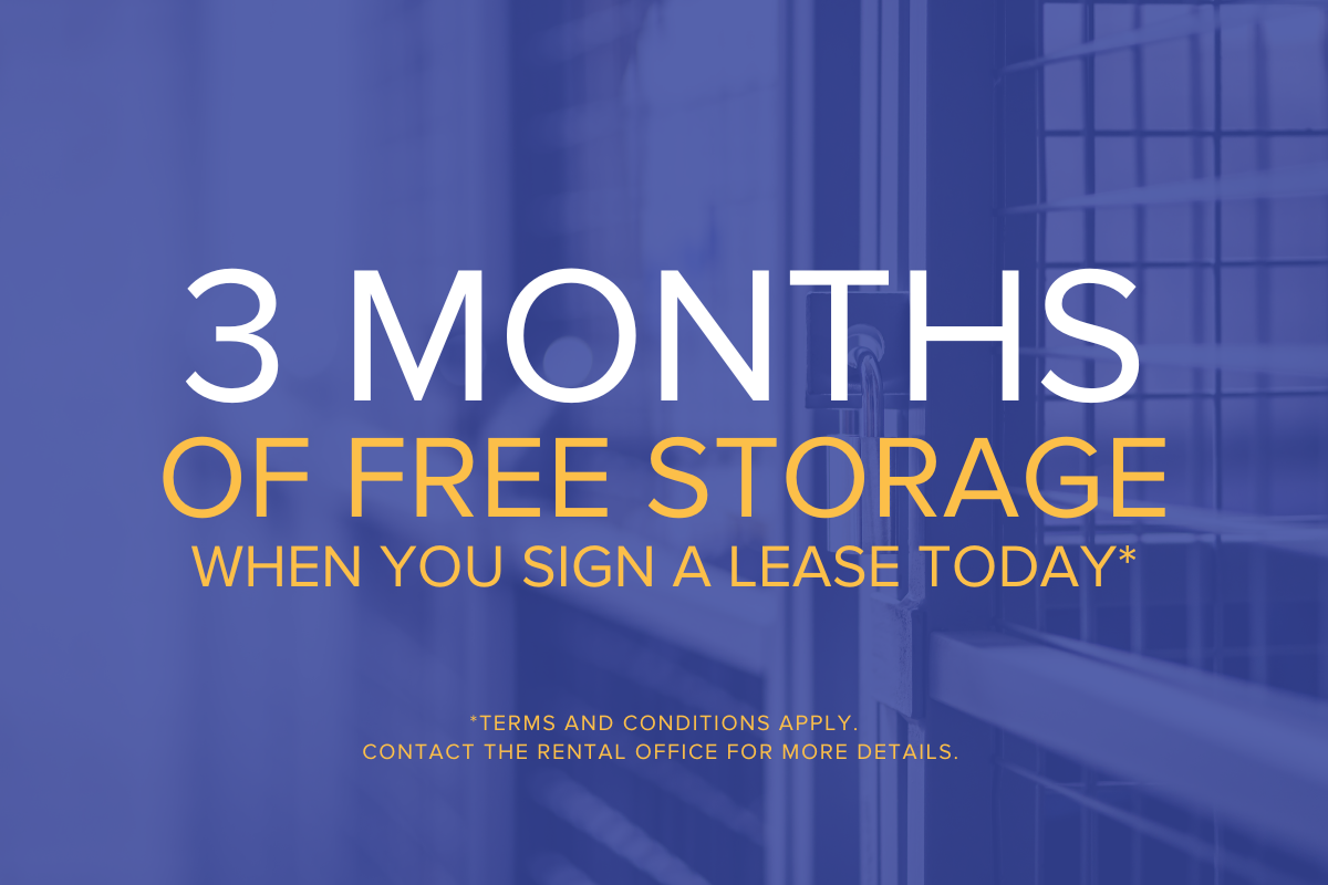 San Romanoway Apartments - Photo 4 of 13