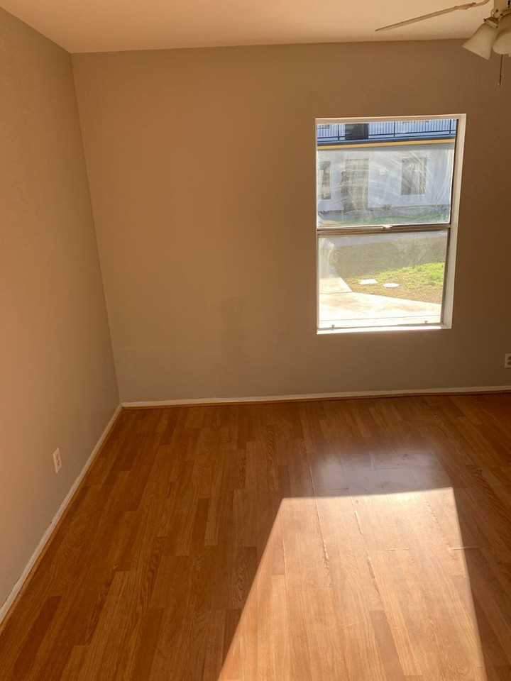 Coco - Photo 6 of 24