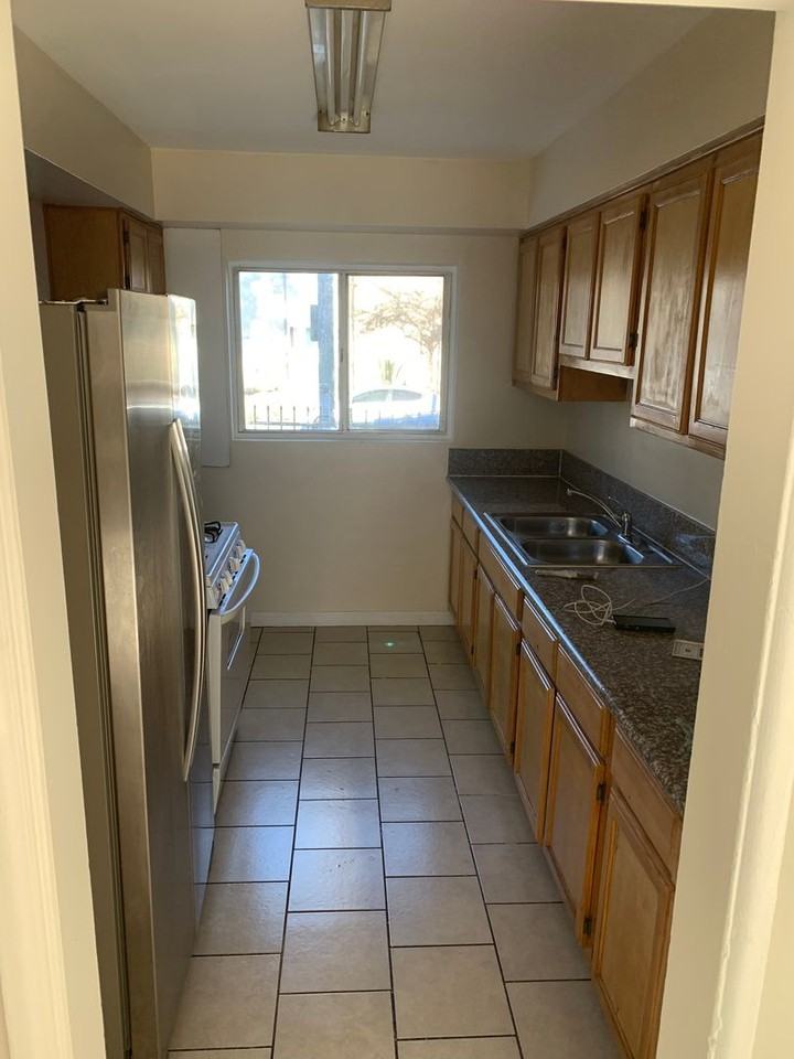 Coco - Photo 7 of 24