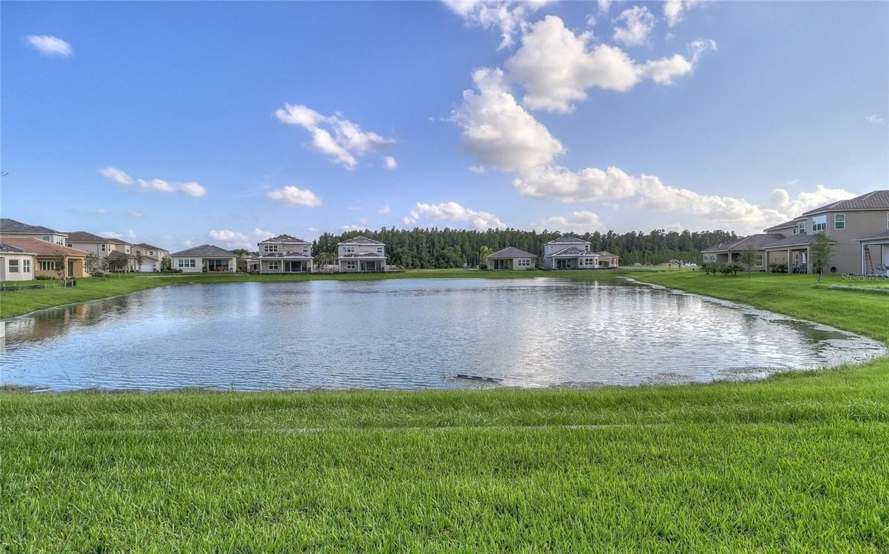 31045 Lindentree Dr - Photo 3 of 50