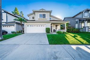 featured image of 24 Goldenrain