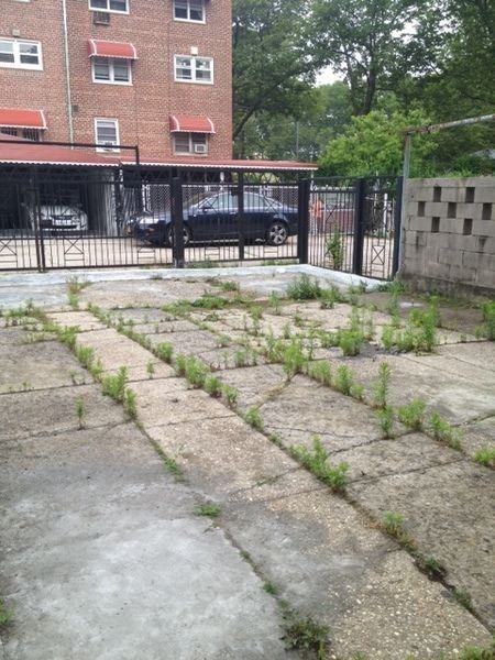 737 E58th St - Photo 3 of 4