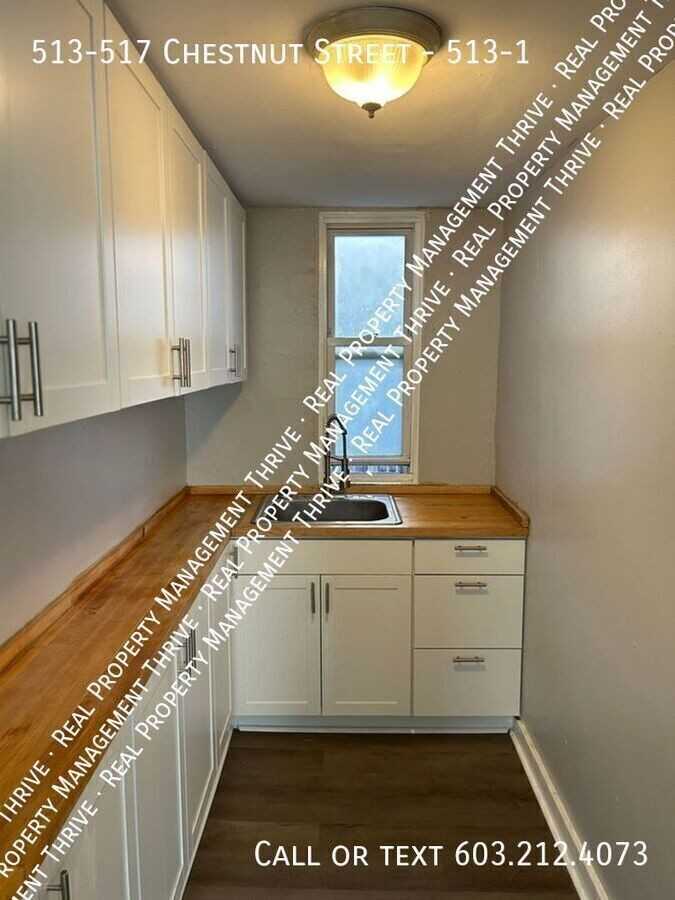 513 Chestnut St #513-1 - Photo 3 of 12
