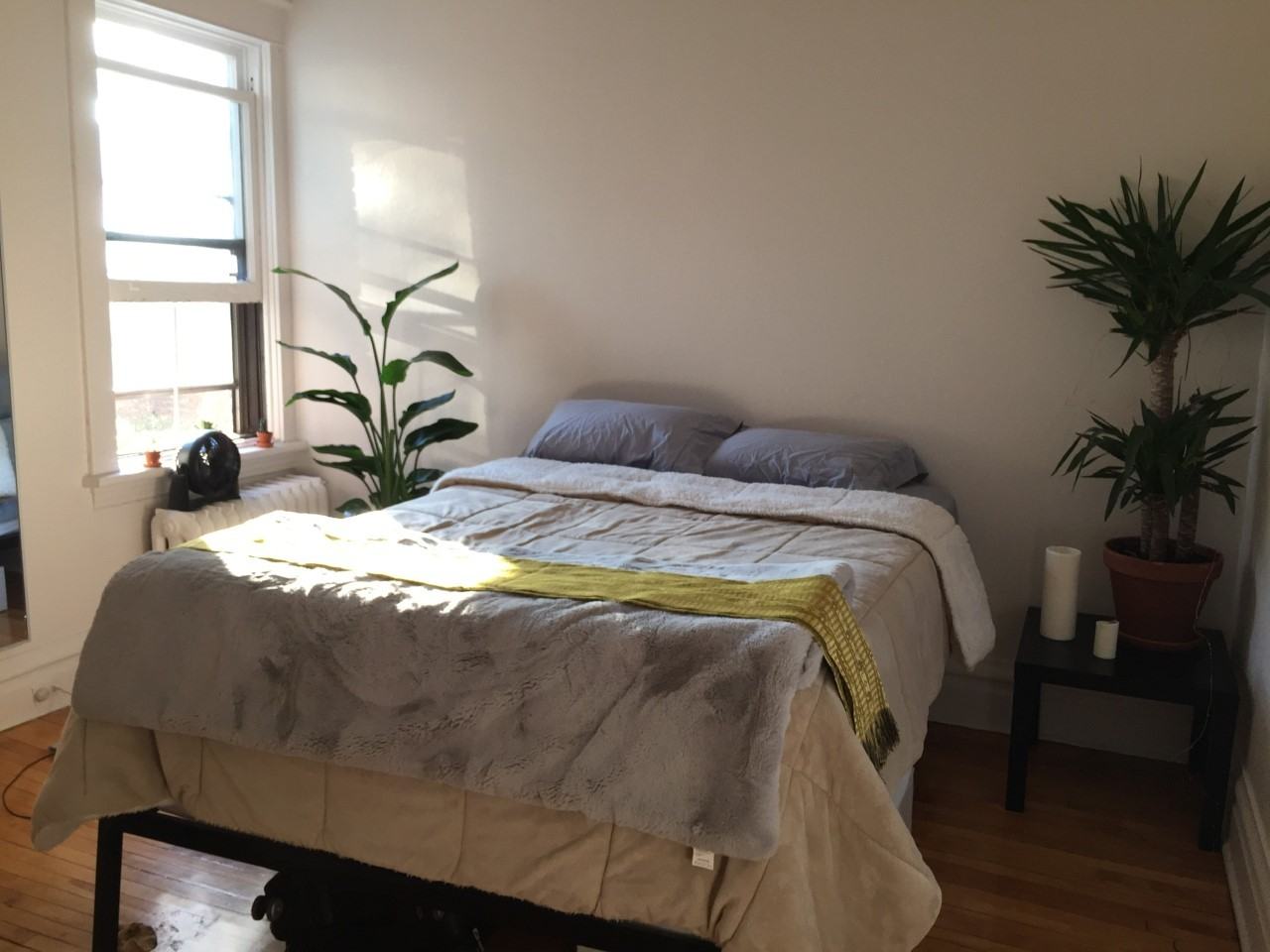 92 Avenue Blackburn #6 - Photo 3 of 6