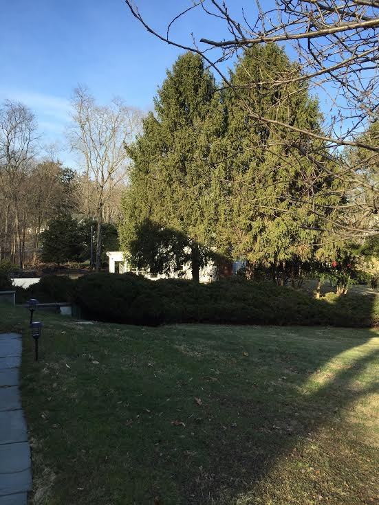 29 Mandia Lane - Photo 3 of 13