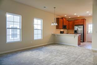 123 Chaste Tree Cir - Photo 1 of 1