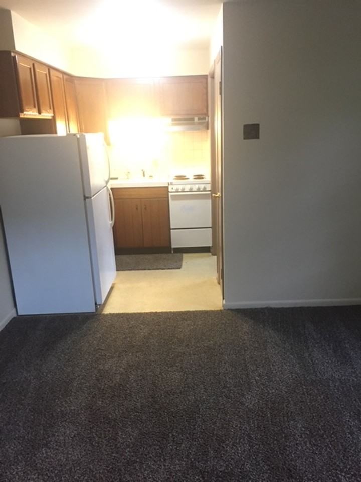 East Chestnut Apartments - Photo 4 of 6