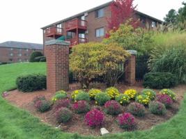 featured image of 95 Powers St #41