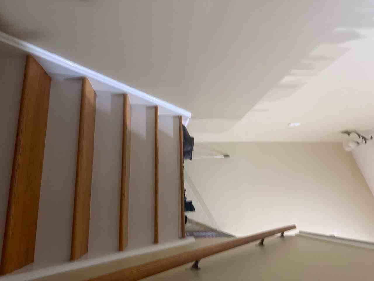 1336 K St #2 - Photo 3 of 17