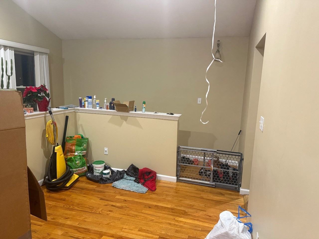 1336 K St #2 - Photo 6 of 17