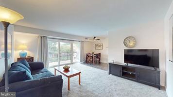 featured image of 7364 Route 29 Unit 203 #203