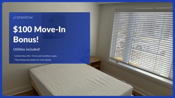 featured image of Nairn Avenue & Lane North Ascot West Earlscourt