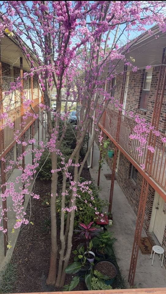 West Rock Gardens Apartments - Photo 2 of 4