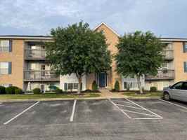 featured image of 100 Rough Way