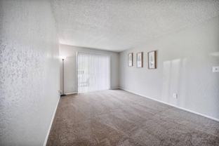 Boca Vista Apartments - Photo 1 of 1