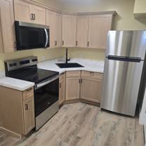 Spruce (225) - Photo 1 of 1