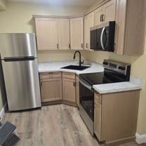 Spruce (225) - Photo 1 of 1