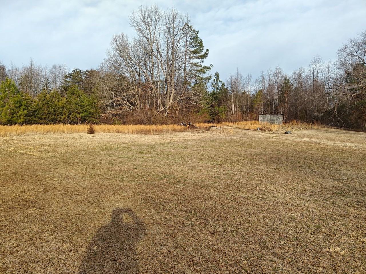 459 Davenport Rd - Photo 4 of 17