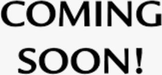 336 Shady Ln - Photo 1 of 1