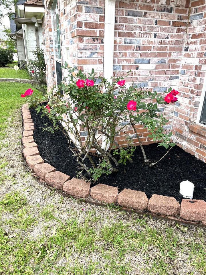 3114 Pleasant Forest Dr #1 - Photo 7 of 50