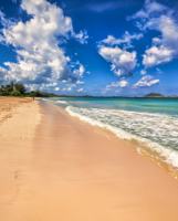 featured image of 140 Ohana Street - 1Unit A #1