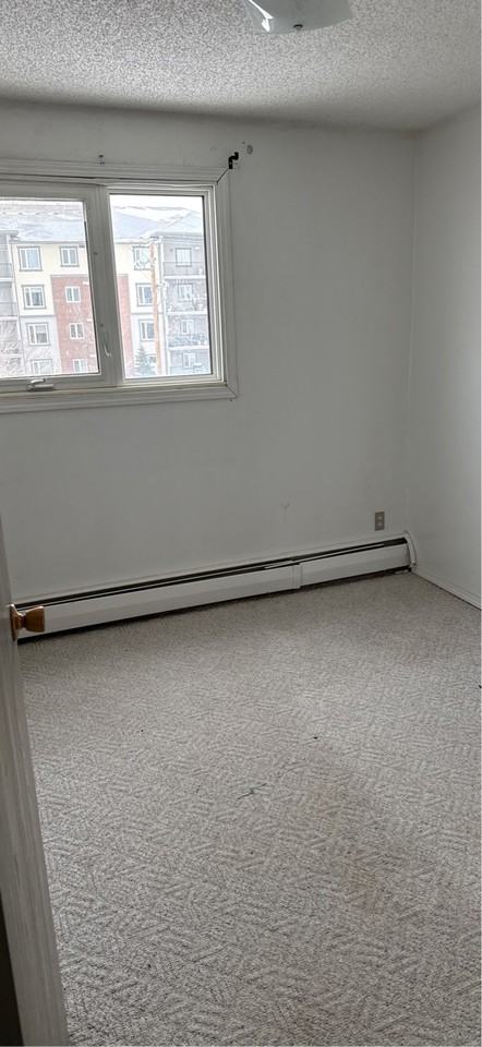 502 5th Ave N #1 - Photo 7 of 8